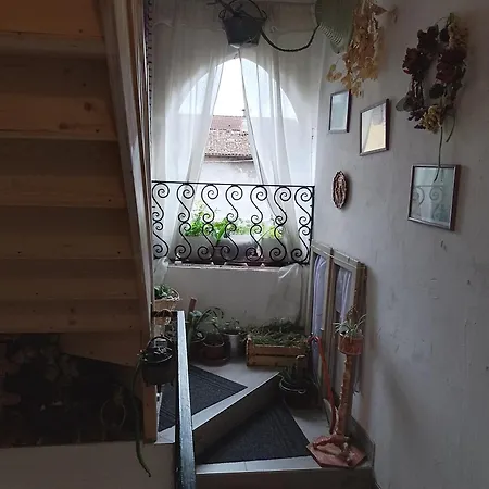 Casa Di Stella Bed & Breakfast *